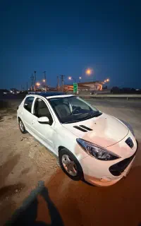 207 پانا رنگدار