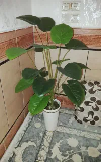 گل مصنوعی نو قیمت ۲۹۰۰