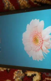 تبلت.   .lenovo.