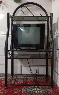 تلویزیون