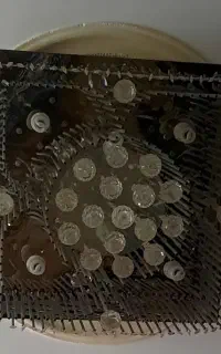 لوستر