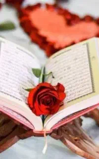 راهنمایی سفارش بدین خانم هستم