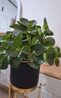 گل مصنوعی