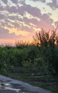 سرایداری با جا خواب