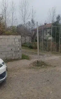 شخصی