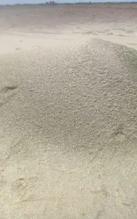 خار و علف خوب