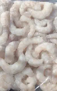 میگوی تازه درجه یک