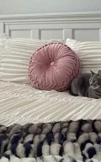 سرویس خواب دو نفره دارای تخت جک دارترک