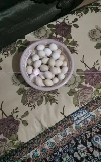 تخم مرغ محلی تازه