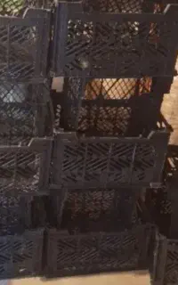 سبد