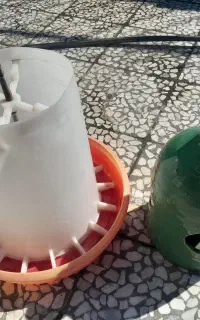 آبخوری و دانخوری