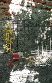 قفس مرغداری تخم گذار