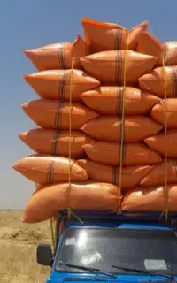 کاه دیم