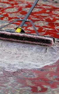 قالیشویی (شهرفرش ) درجه۱