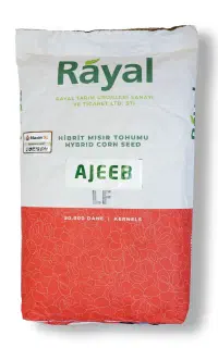 بذر ذرت رایال ( رویال ) عجیب