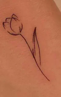 آموزش صفر تا صد تتو