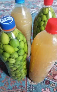 ترشی جات