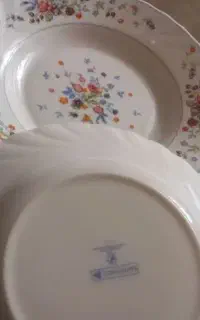 بشقاب آرکوپال اصل