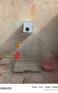قفس پرنده
