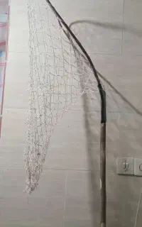 توردستی کفتر