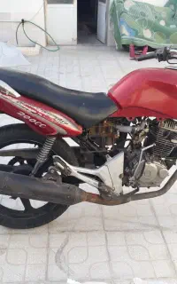 دویس ۹۱ مزایده ای