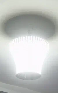 تک رنگ