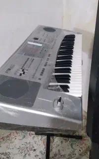 ارگ پی ۵۰