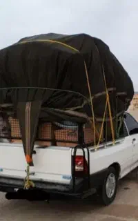 حمل بار