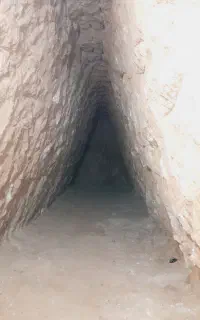 چاکن حرفه‌ای