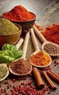 همکاری بانوان بالای ۲۵ سال به بالا
