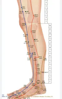 فیزیوتراپی و طب سوزنی در منزل،لیزر پرتوان درمنزل