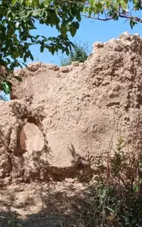 فروش کاه لوبیا درجه یک
