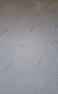 موکت