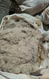 پشم گوسفندی