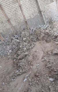 کود کبوتر