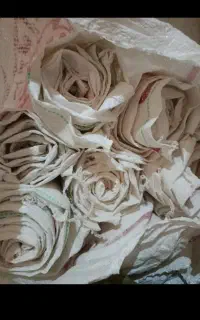 گونی آردی