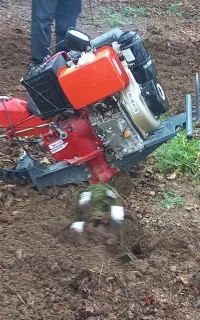 شخم بهاره عمق ۲۰-۲۵ سانت