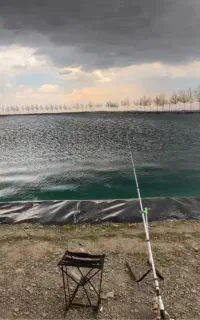 طعمه قزل الا بریکلی دست ساز