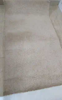 پالاز موکت