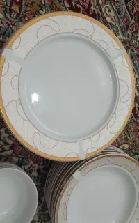 ظروف چینی