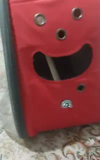 کیف مسافرتی پرندگان