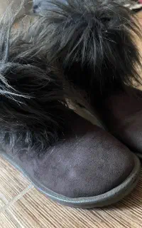 آگ طوسی شیک