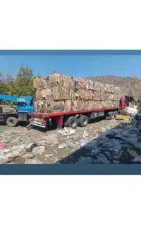 ضایعات عمده