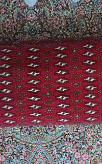 پنج عدد پشتی نو