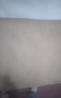 موکت دسته دو