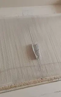 دار قالی همراه با نخ و نقشه