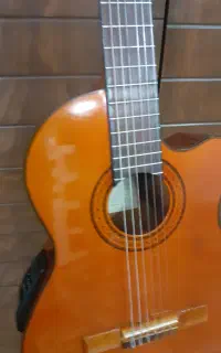 گیتار اریا Ak80 پیکاب