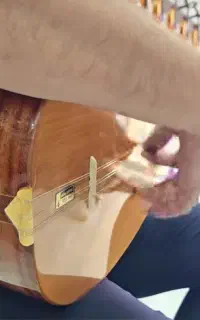 آموزش  دیوان و باغلاما،به صورت خصوصی و یا آنلاین .