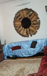 اجاره  تک خواب باقری جنوبی