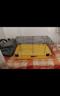 قفس بزرگ.قمیت ۵